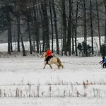 Kolorowe Wzgorze I Konie Prázdninový dům *