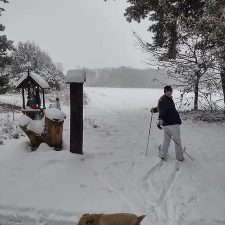 Feriehus Kolorowe Wzgorze I Konie