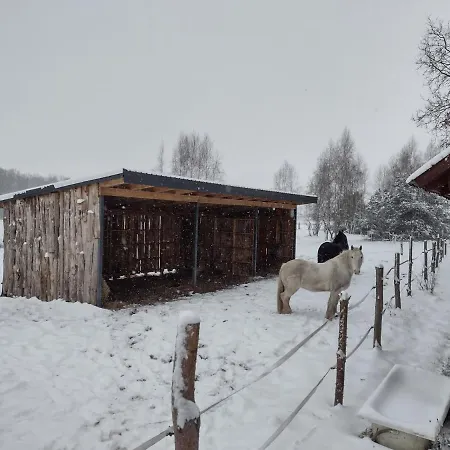 Feriehus Kolorowe Wzgorze I Konie *