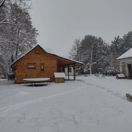 Kolorowe Wzgorze I Konie *