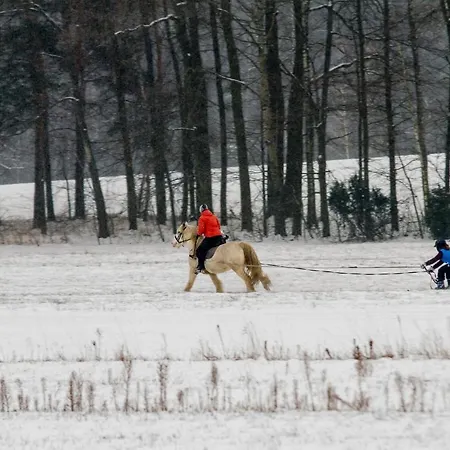 Kolorowe Wzgorze I Konie Vakantiehuis *