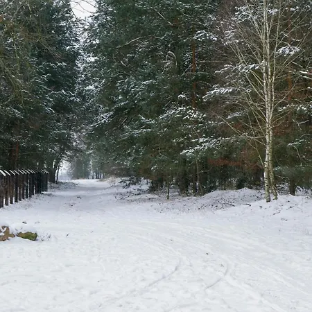 Dom wakacyjny Kolorowe Wzgórze I Konie