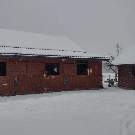 Kolorowe Wzgorze I Konie Trojanow