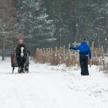Kolorowe Wzgorze I Konie
