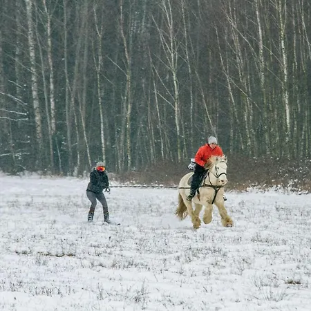 Kolorowe Wzgorze I Konie Trojanow