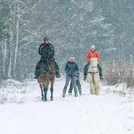 Dom wakacyjny Kolorowe Wzgórze I Konie *