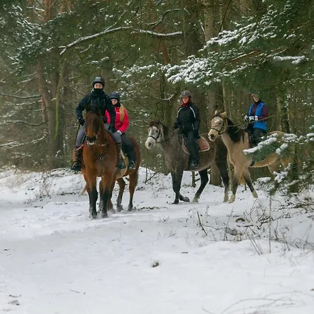 Dom wakacyjny Kolorowe Wzgórze I Konie