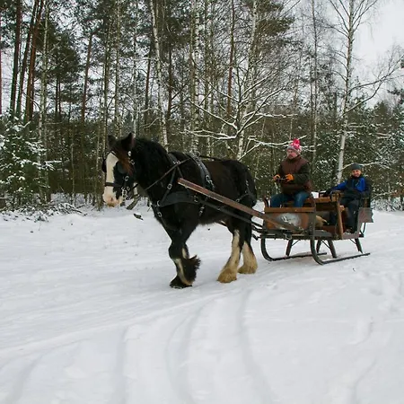 Dom wakacyjny Kolorowe Wzgórze I Konie Trojanow