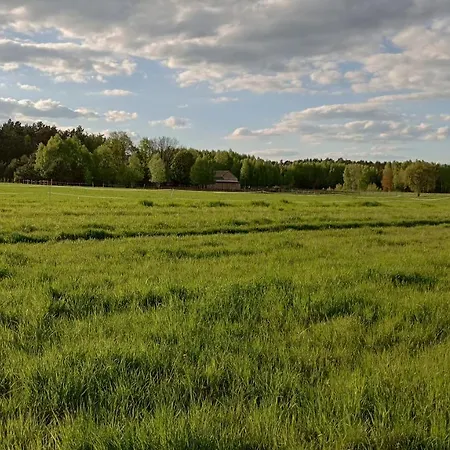 Kolorowe Wzgorze I Konie Trojanow