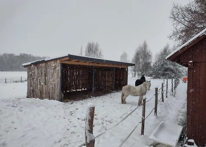 Dom wakacyjny Kolorowe Wzgórze I Konie *