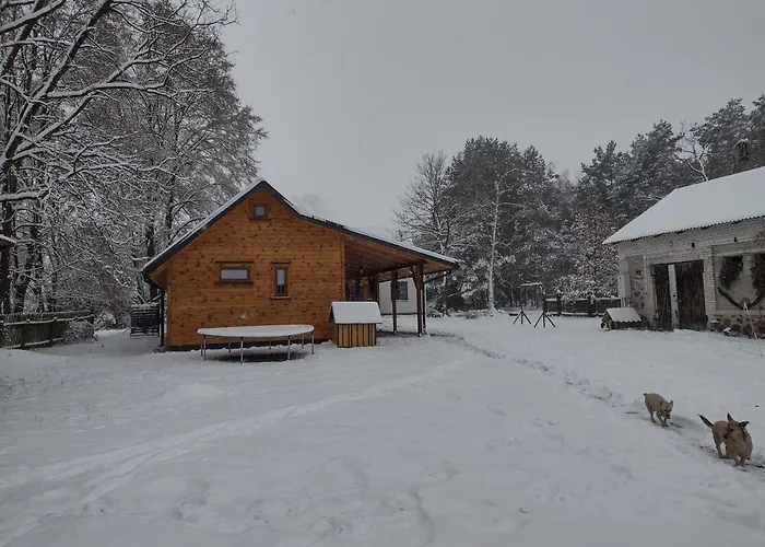 Kolorowe Wzgórze I Konie *