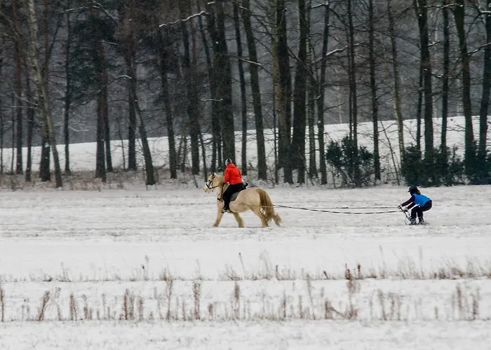 Kolorowe Wzgórze I Konie Dom wakacyjny *